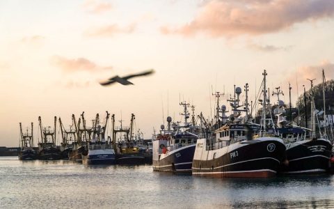 Fishing boats in Newlyn Harbour (Photo by Laurence Hartwell)
